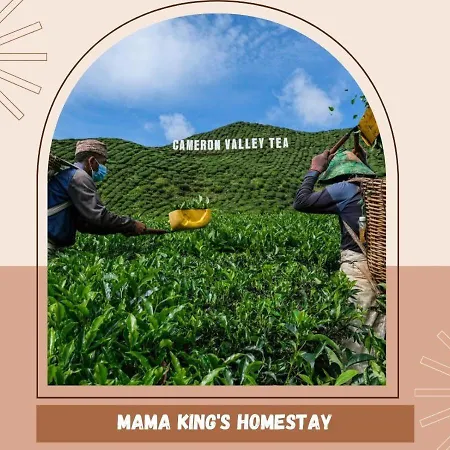 Mama King'S Homestay@ Palas Horizon Brinchang Exterior photo