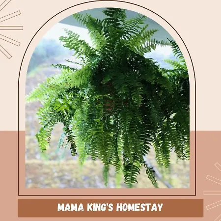 Mama King'S Homestay@ Palas Horizon Brinchang Exterior photo