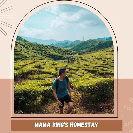 Mama King'S Homestay@ Palas Horizon Brinchang Exterior photo