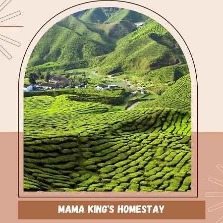 Mama King'S Homestay@ Palas Horizon Brinchang Exterior photo