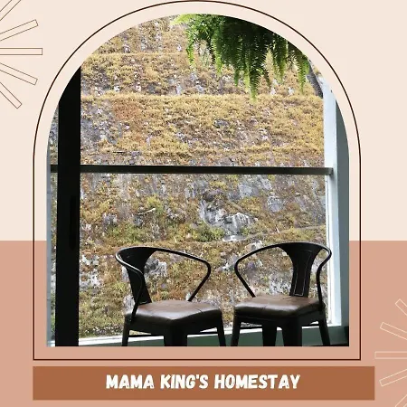 Mama King'S Homestay@ Palas Horizon Brinchang Exterior photo