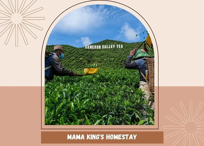 Mama King\'S Homestay@ Palas Horizon