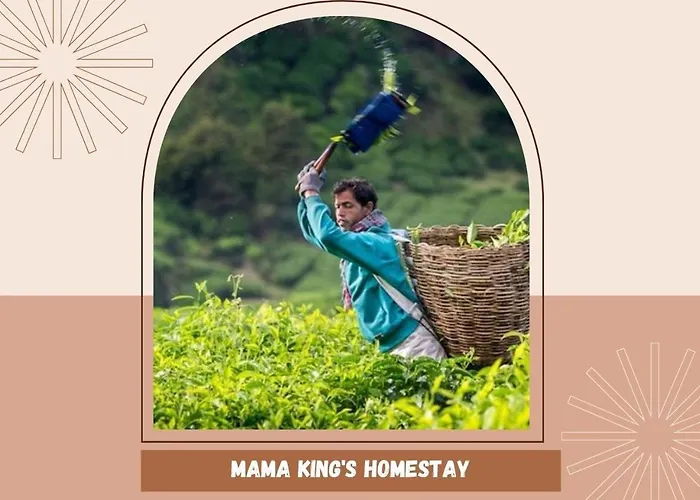 Mama King\'S Homestay@ Palas Horizon